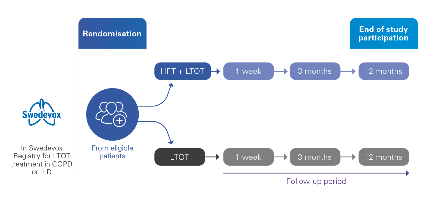 A flowchart showing the duration of the HiLOT study, from randomisation of participants to end of study.